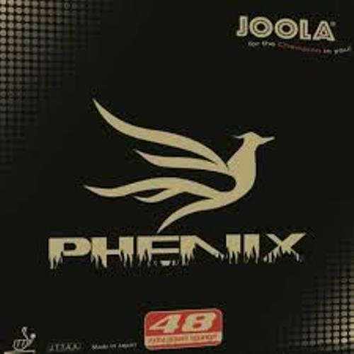 Joola Phenix 48